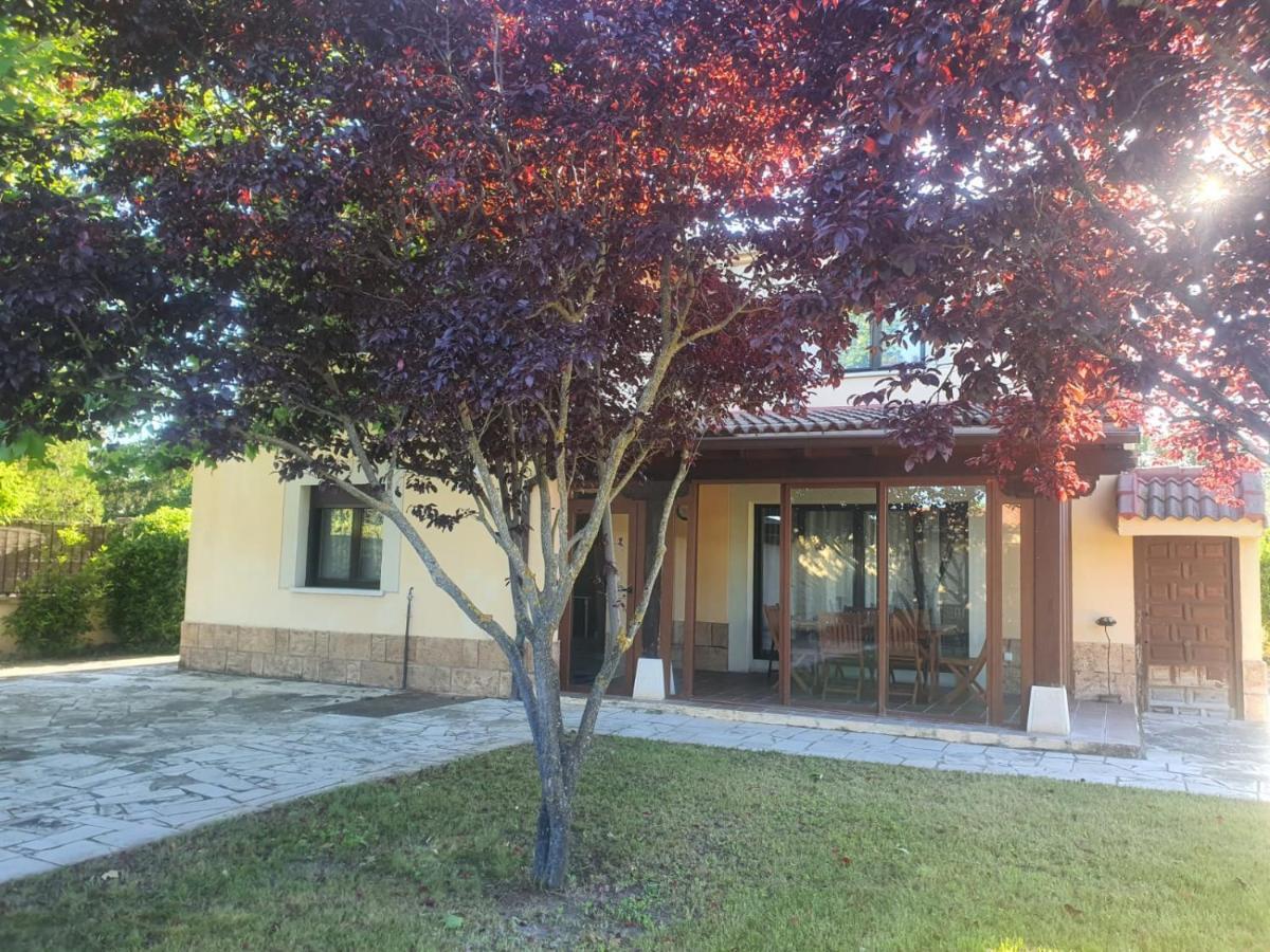 El Rincon De Los Abuelos Tudela de Duero Bagian luar foto